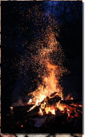 Campfire in woods near Antigo, WI