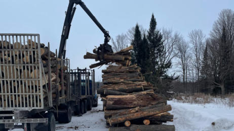 Logging truck moving logs in the Northwoods